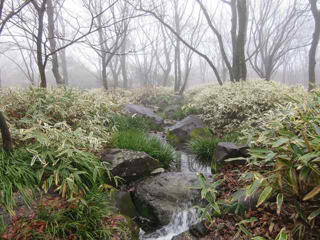 上野原縄文の森
